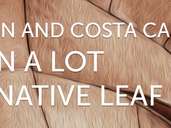 Amazon and Costa can learn a lot from Native Leaf