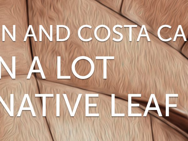 Amazon and Costa can learn a lot from Native Leaf