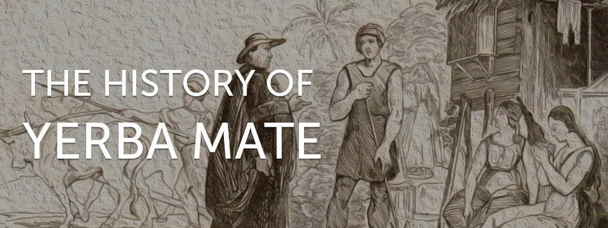 The History of Yerba Mate