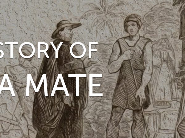 The History of Yerba Mate