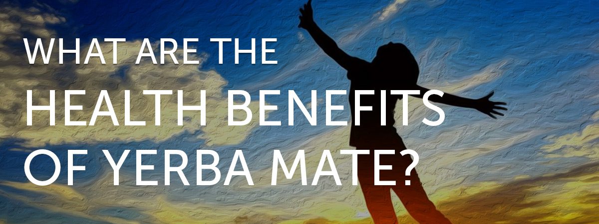 What are the Health Benefits of Yerba Mate?