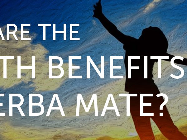 What are the Health Benefits of Yerba Mate?