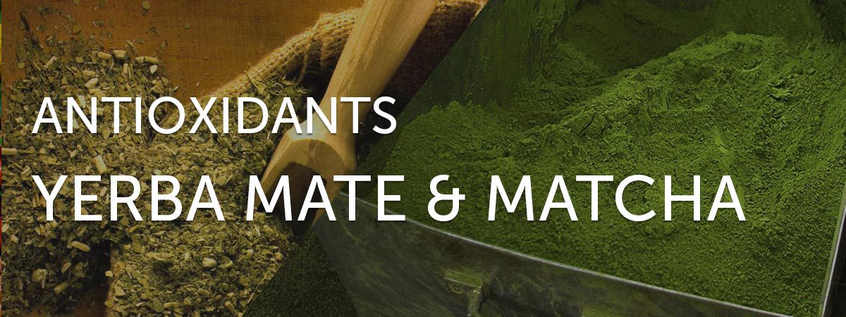 antioxidants in yerba mate and matcha green tea