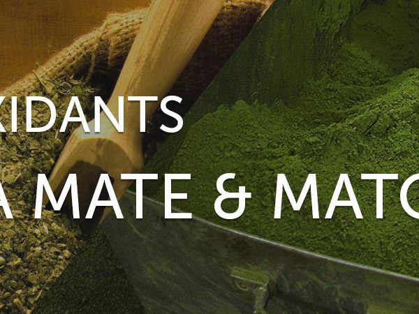 antioxidants in yerba mate and matcha green tea